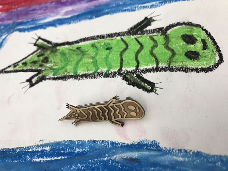 lizard-drawing-800x600 Lizard Illustration